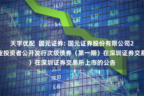 天宇优配  国元证券: 国元证券股份有限公司2025年面向专业投资者公开发行次级债券（第一期）在深圳证券交易所上市的公告