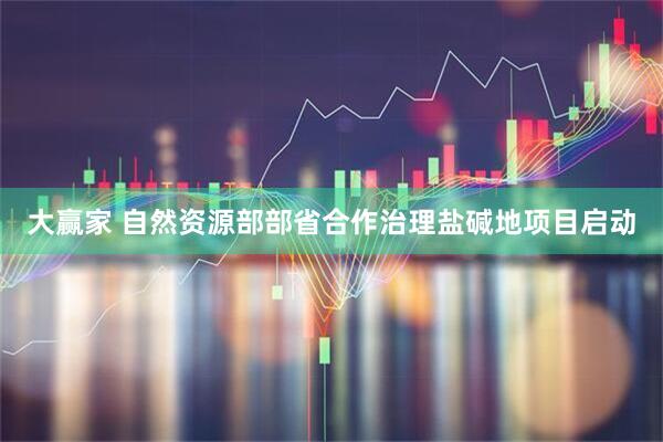 大赢家 自然资源部部省合作治理盐碱地项目启动
